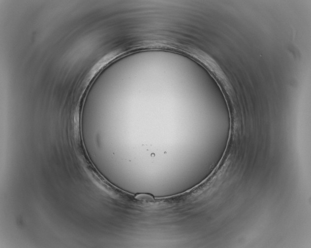 X0000112881242200909111436