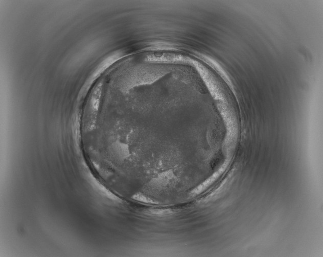 X0000112881243200909111436