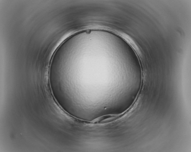 X0000112881244200909111436