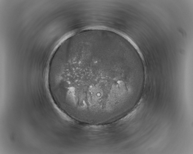 X0000112881245200909111436