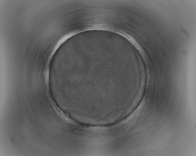 X0000112881246200909111436