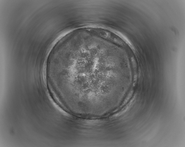 X0000112881247200909111436