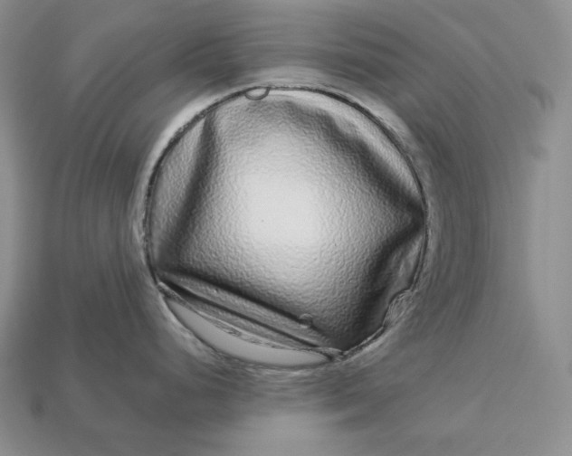 X0000112881248200909111436