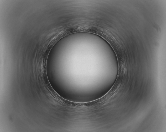 X0000112881250200909111436