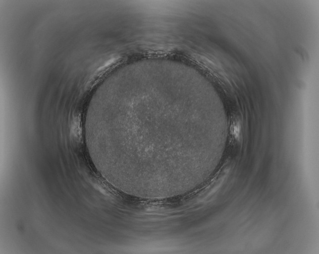 X0000112881252200909111436