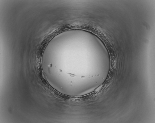 X0000112881253200909111436