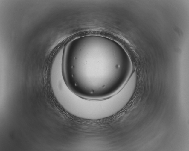 X0000112881255200909111436