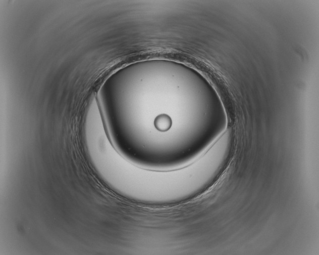 X0000112881257200909111436