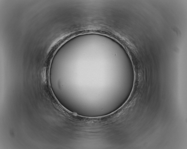 X0000112881262200909111436