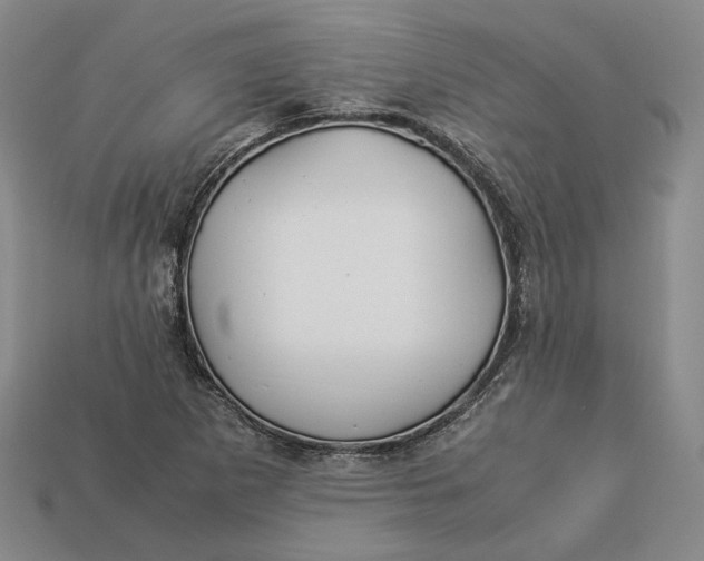 X0000112881265200909111435