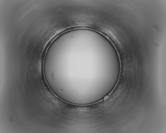 X0000112881268200909111435