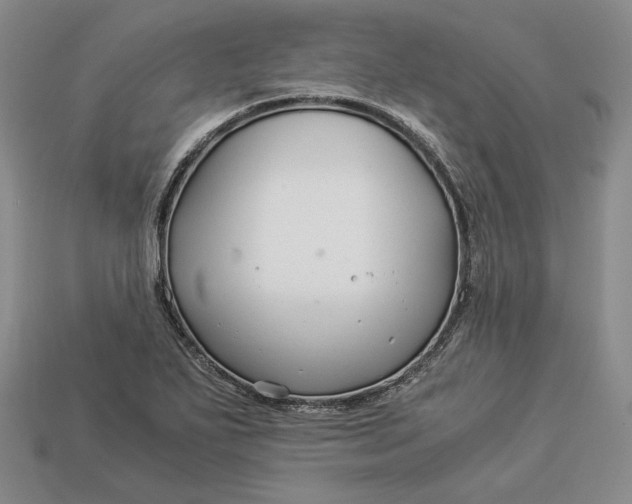 X0000112881271200909111435