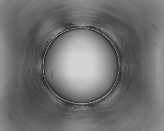 X0000112881273200909111435