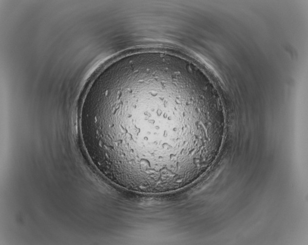 X0000112881275200909111435