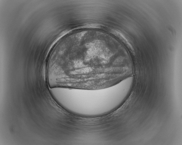 X0000112881276200909111435