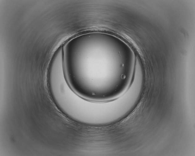 X0000112881277200909111435