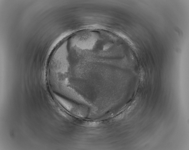 X0000112881278200909111435