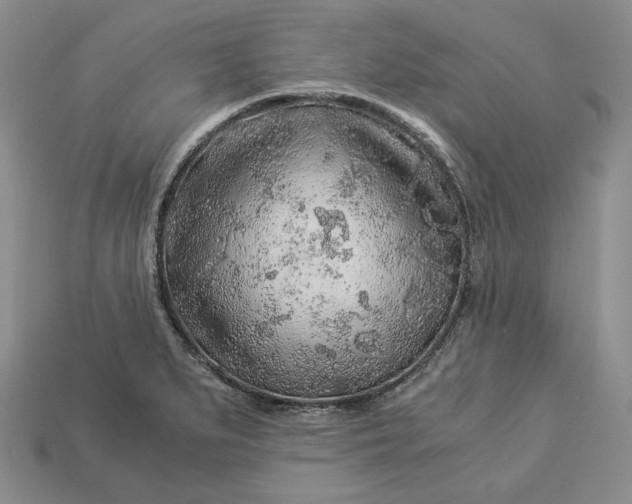 X0000112881279200909111435