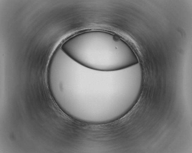 X0000112881280200909111435