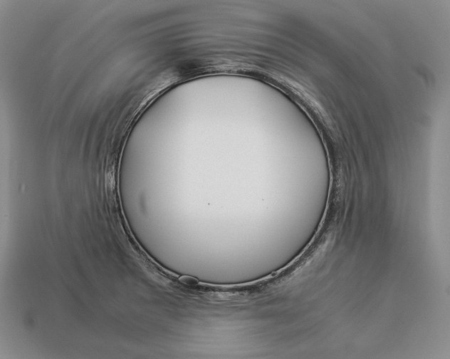 X0000112881281200909111435