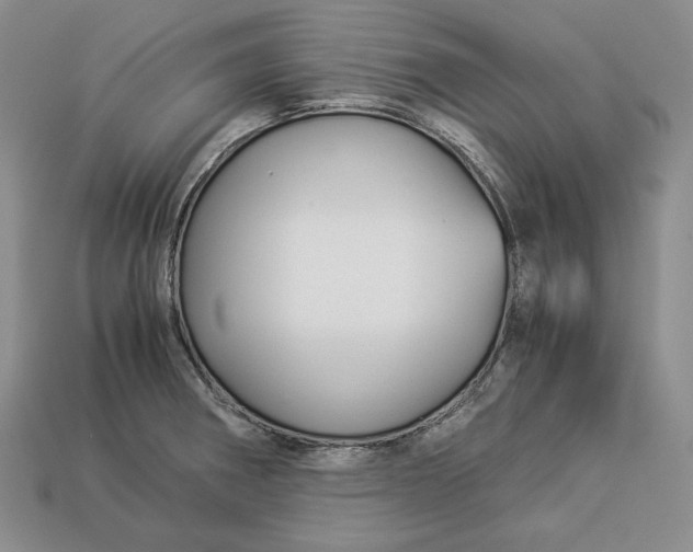 X0000112881282200909111435