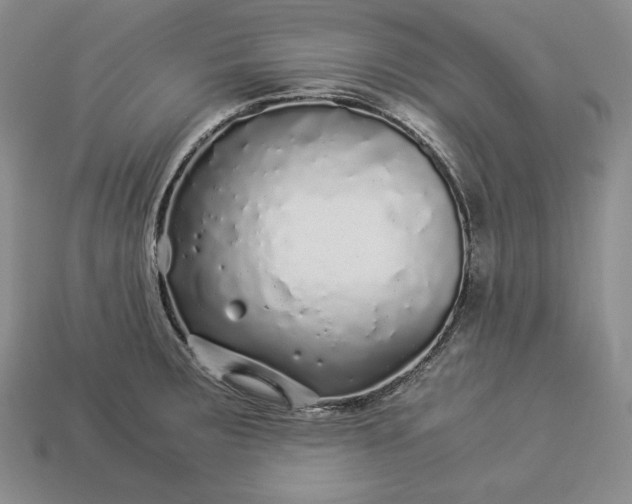 X0000112881283200909111435