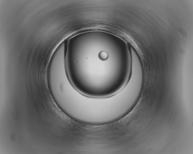 X0000112881284200909111435