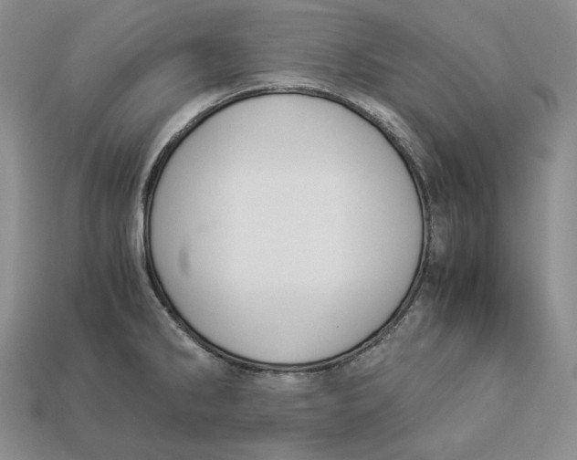 X0000112881286200909111435