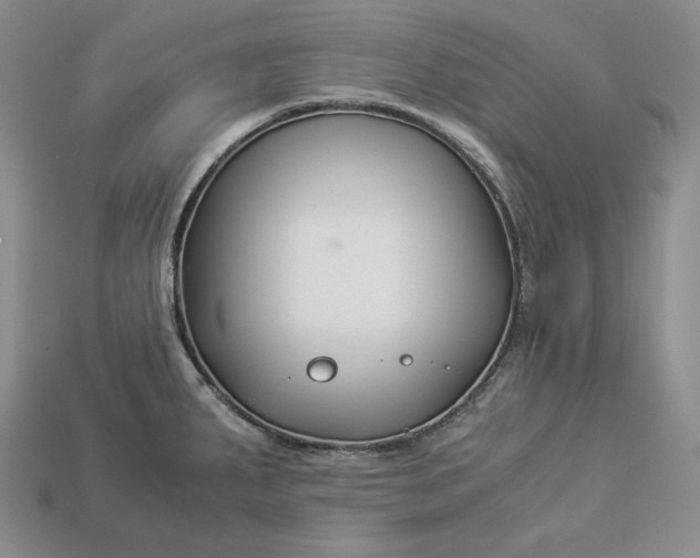 X0000112881287200909111435