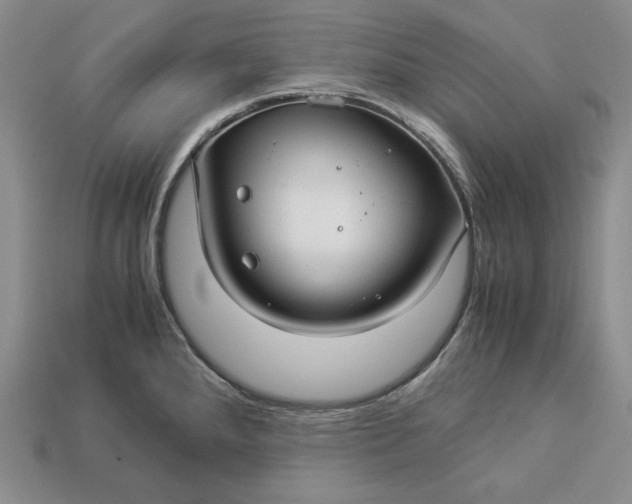 X0000112881288200909111435