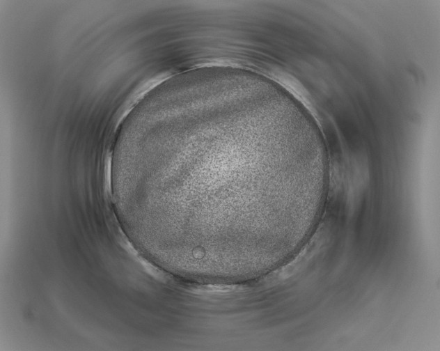 X0000112881290200909111435