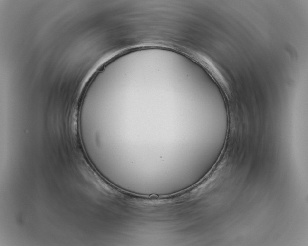 X0000112881292200909111435