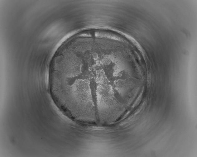 X0000112881295200909111435