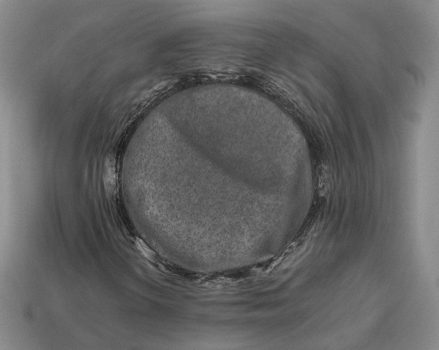 X0000112881298200909111434