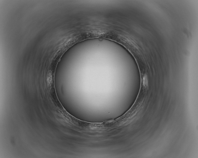 X0000112881299200909111434