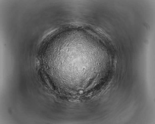 X0000112881302200909111435