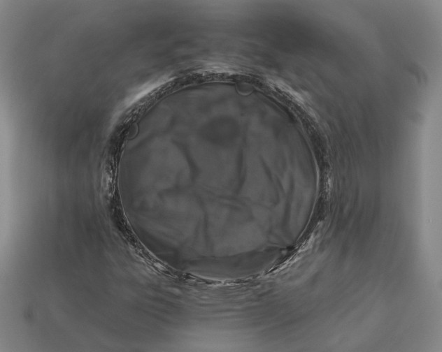 X0000112881303200909111435