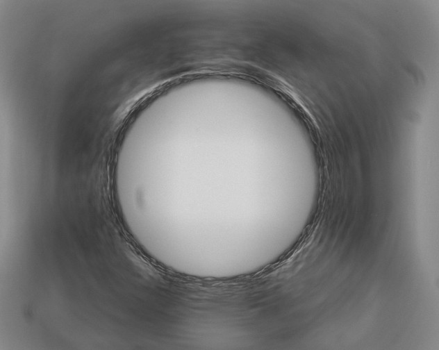 X0000112881304200909111435