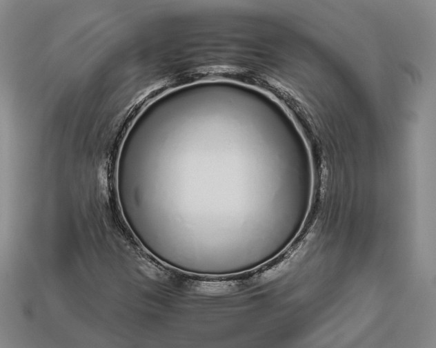 X0000112881305200909111435