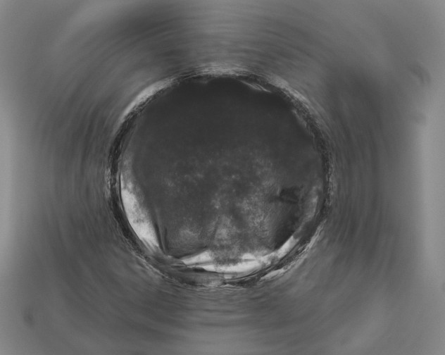 X0000112881306200909111435