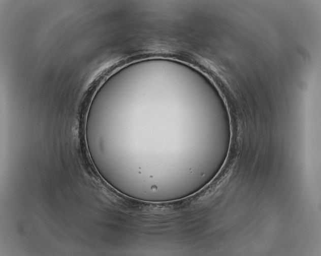 X0000112881307200909111435