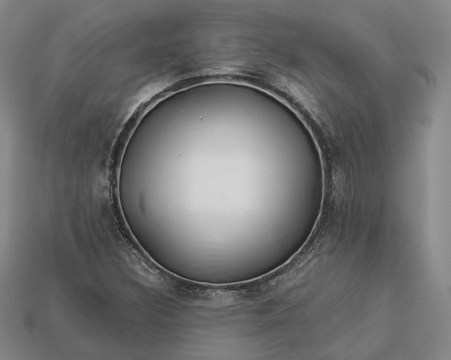 X0000112881308200909111435