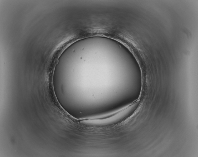 X0000112881309200909111435