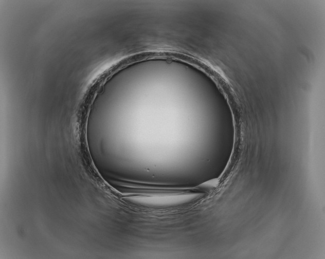 X0000112881311200909111435