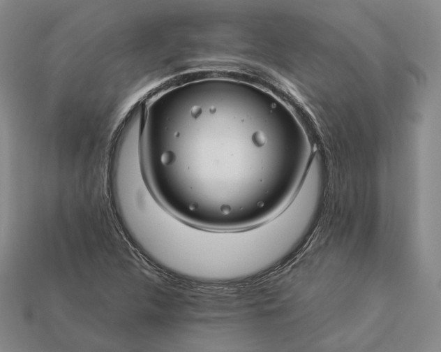 X0000112881312200909111435