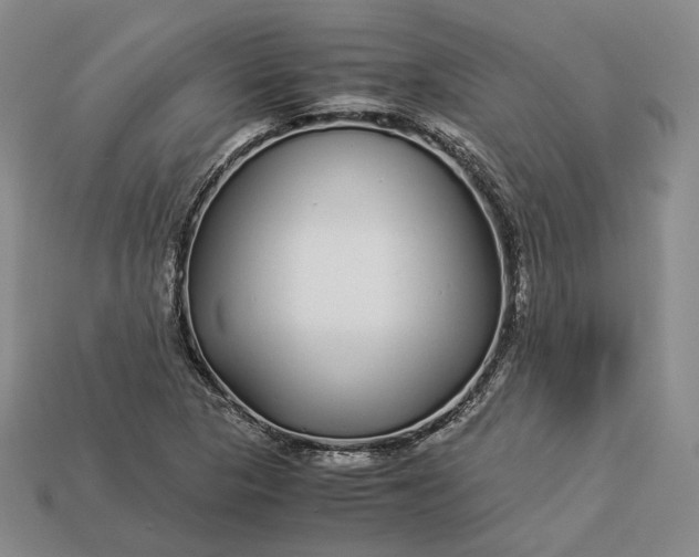 X0000112881313200909111435