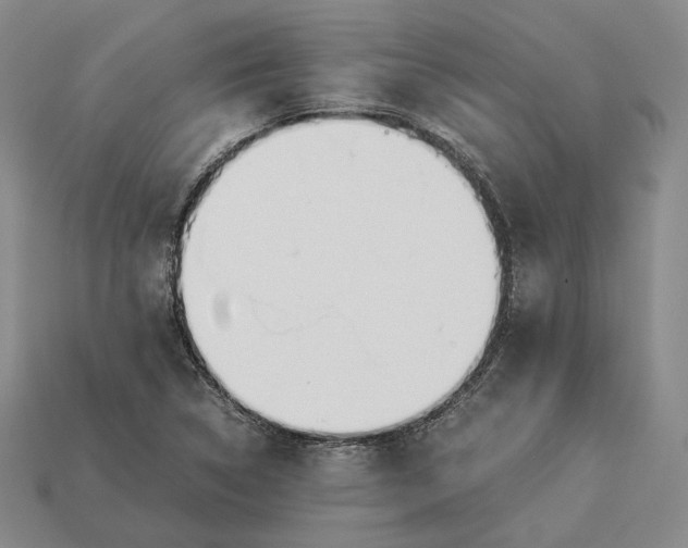 X0000112881314200909111435