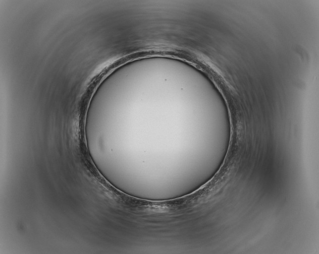 X0000112881315200909111435