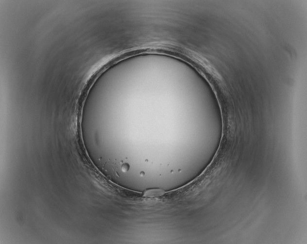 X0000112881316200909111435