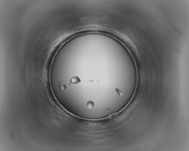 X0000112881318200909111435